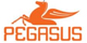 Pegasus Yayınları