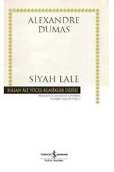 Siyah Lale Hasan Ali Yücel Klasikleri İş Bankası Kültür Yayınları - İş Bankası Kültür Yayınları