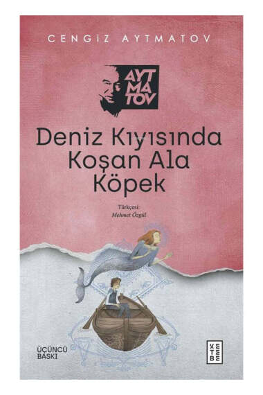 Ketebe Yayınları Deniz Kıyısında Koşan Ala Köpek - 1