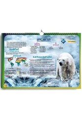 KR Akademi AYT Coğrafya Poster Notlar - KR Akademi