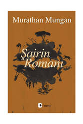 Metis Yayıncılık Şairin Romanı - Metis Yayınları